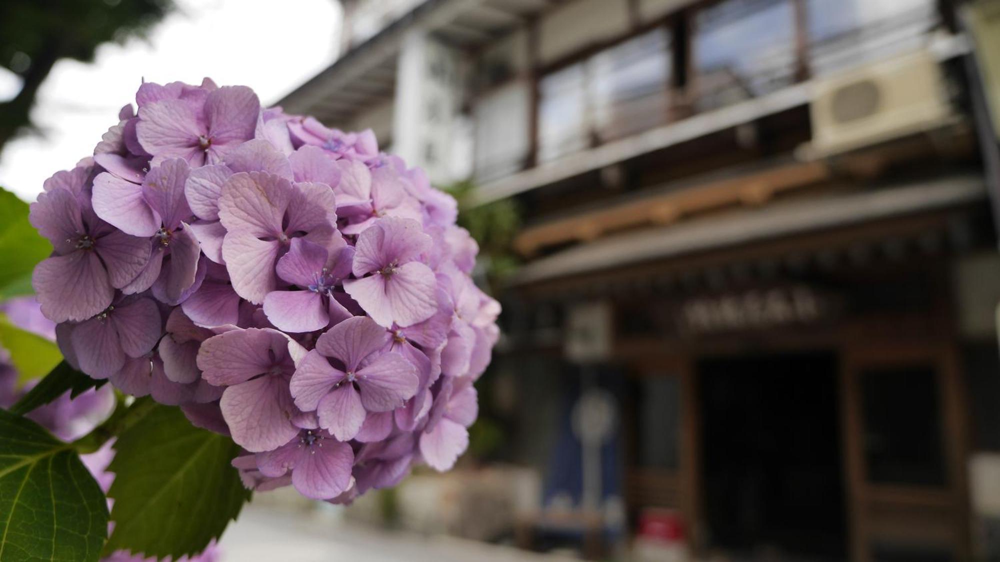 Shibu Onsen Koishiya Ryokan Yamanouchi  Esterno foto